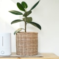 Which Air Purifier is Better: Ionizer or HEPA Filter?