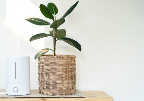Which Air Purifier is Better: Ionizer or HEPA Filter?